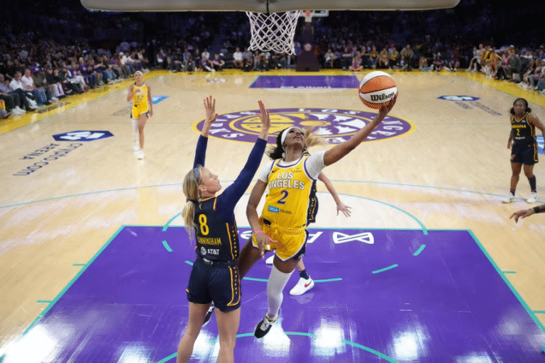 Bagaimana mainan seks yang dilemparkan ke pertandingan WNBA mengungkap jendela aneh ke dalam budaya online dan membuka luka lama bagi olahraga wanita